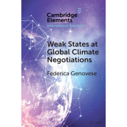 Weak States at Global Climate Negotiations