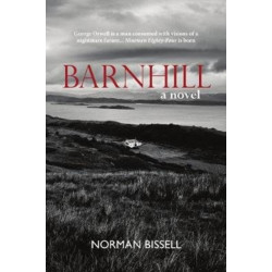 Barnhill: A Novel