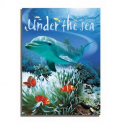 Caterpillars and Butterflies