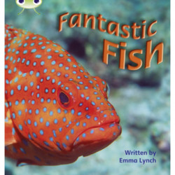 Bug Club Phonics - Phase 4 Unit 12: Fantastic Fish