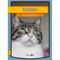 Katten