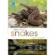 RSPB Spotlight Snakes