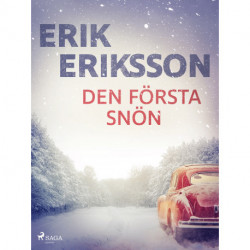 Den första snön