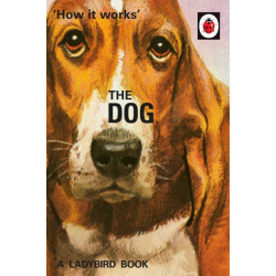 How it Works: The Dog