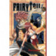 Fairy Tail 12