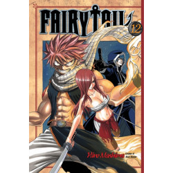 Fairy Tail 12
