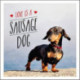 Love is a Sausage Dog: A Pup-Tastic Celebration of Dachshunds - The World's Cutest Dogs