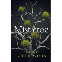 Mistletoe: 'The perfect read for frosty nights' HEAT