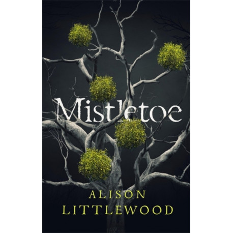 Mistletoe: 'The perfect read for frosty nights' HEAT