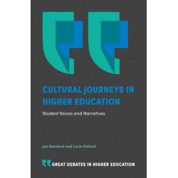 Cultural Journeys in Higher Education: Student Voices and Narratives