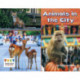 Animals in the City