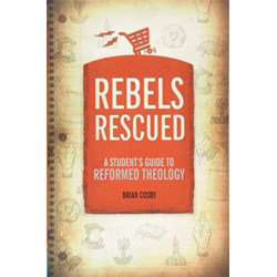 Rebels Rescued