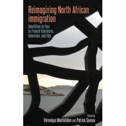 Reimagining North African Immigration: Identities in Flux in French Literature, Television, and Film