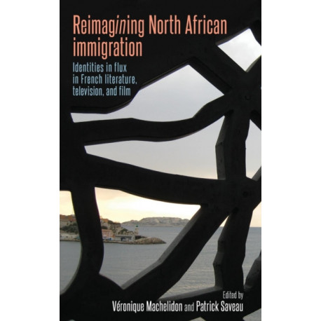 Reimagining North African Immigration: Identities in Flux in French Literature, Television, and Film