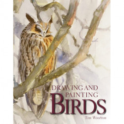 Drawing and Painting Birds