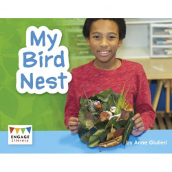 My Bird Nest
