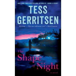 The Shape of Night: A Novel