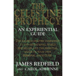 The Celestine Prophecy: An Experiential Guide