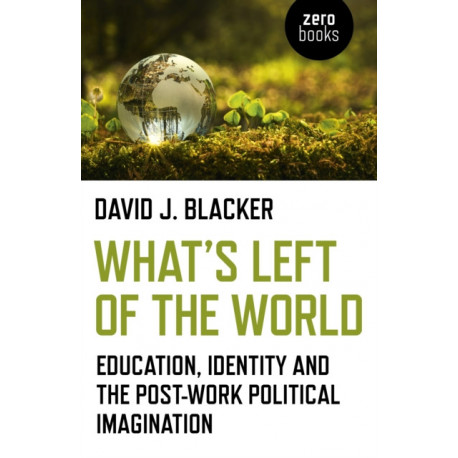 What's Left of the World: Education, Identity and the Post-Work Political Imagination