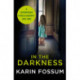 In the Darkness: An Inspector Sejer Novel