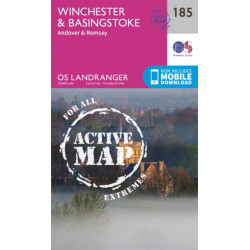 Winchester & Basingstoke, Andover & Romsey