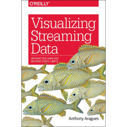 Visualizing Streaming Data: Interactive Analysis Beyond Static Limits