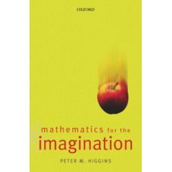 Mathematics for the Imagination