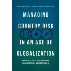Managing Country Risk in an Age of Globalization: A Practical Guide to Overcoming Challenges in a Complex World