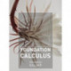 Foundation Calculus