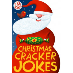 Christmas Cracker Jokes