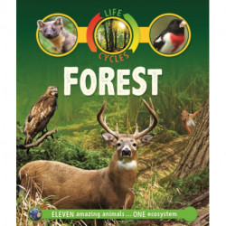 Life Cycles: Forest