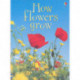 How Flowers Grow