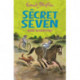 Secret Seven: Secret Seven Mystery: Book 9