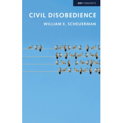 Civil Disobedience