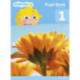 Science Bug Pupil Book Year 1
