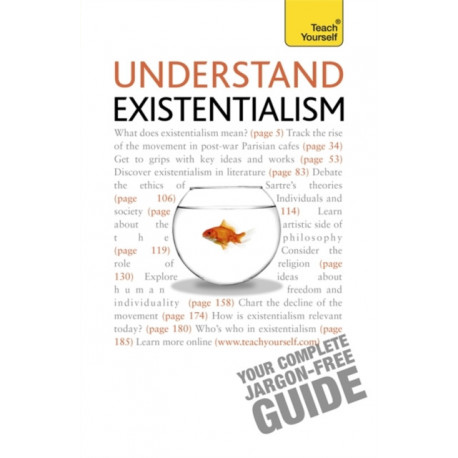Understand Existentialism: Teach Yourself