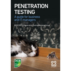 Penetration Testing: A guide for business and IT managers