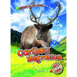 Caribou Migration