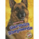 German Shepherds