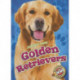 Golden Retrievers