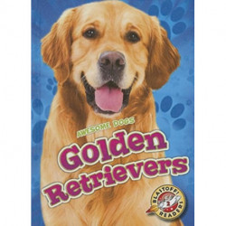 Golden Retrievers