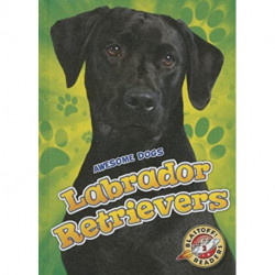 Labrador Retrievers