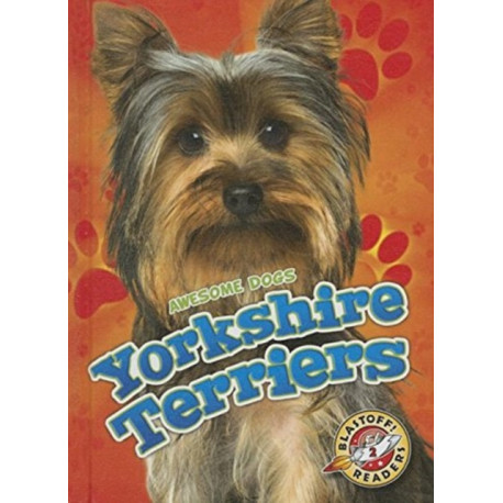 Yorkshire Terriers