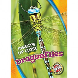 Dragonflies