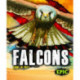 Falcons