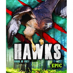 Hawks: Birds of Prey