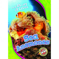 Sea Anemones