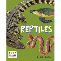 Reptiles