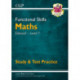 Functional Skills Maths: Edexcel Level 1 - Study & Test Practice