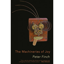 The Machineries of Joy